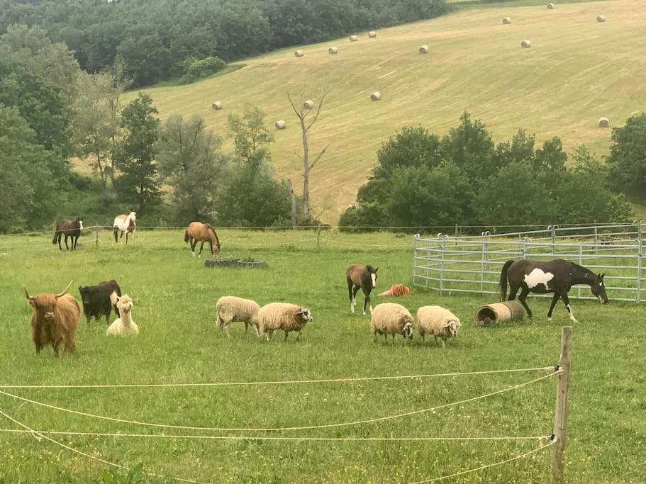 Gite A La Ferme Avec Jacuzzi Et Piscine Chauffee Saint-Felix-de-Tournegat Exteriör bild